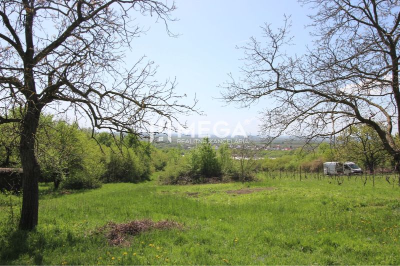 Gärten in Trnava pri Laborci mit Blick auf Grünflächen, Wiesen und verstreute Bäume.