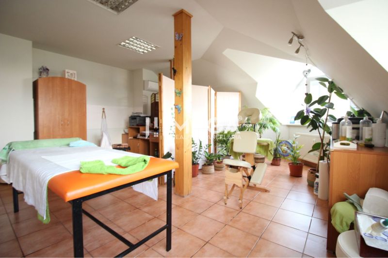 Geschäftsräume mit Blumen, Massagetisch und Möbeln, Boden mit Fliesen.