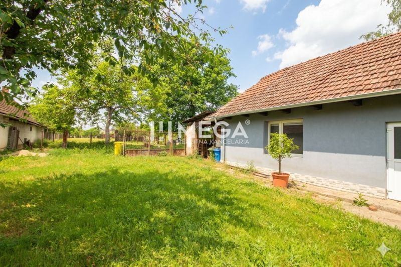 Das Äußere eines Einfamilienhauses in Veľká Ida mit Garten und Rasen, umgeben von Bäumen.