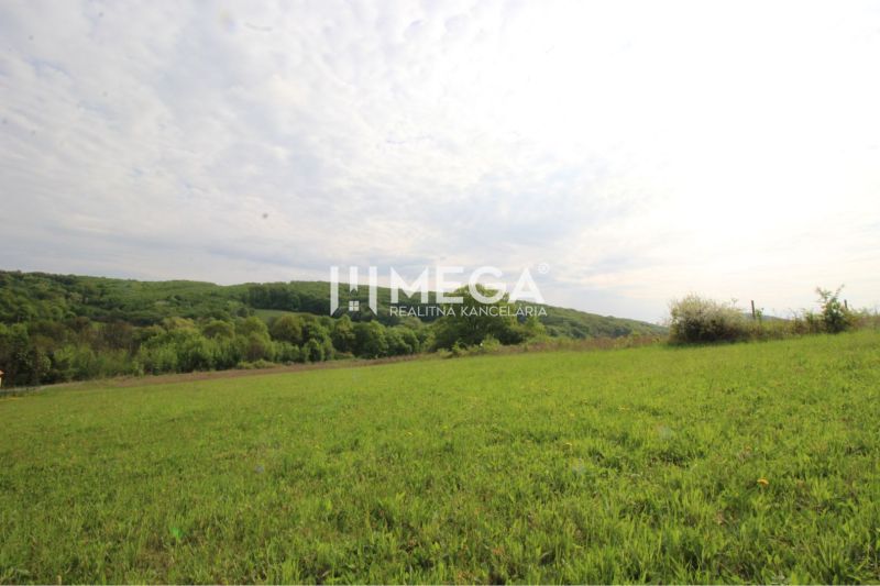 Grundstücke - Wohnen in der Umgebung von Vyšný Kazimír, grüne Wiese mit Waldkulisse unter bewölktem Himmel.