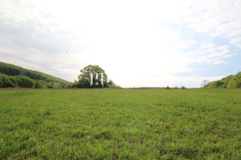Das Grün der Wiese und die Bäume im Hintergrund, Vyšný Kazimír, Grundstücke - Wohnen.