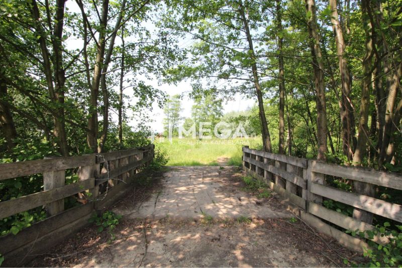 Waldweg über eine Brücke, umgeben von Grün in Ptičí, Grundstücke - Wohnen.
