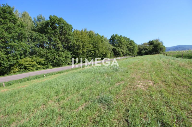 Grünflächen und Straßen auf Grundstücken für Wohnzwecke in Snina in der Hámorská-Straße.