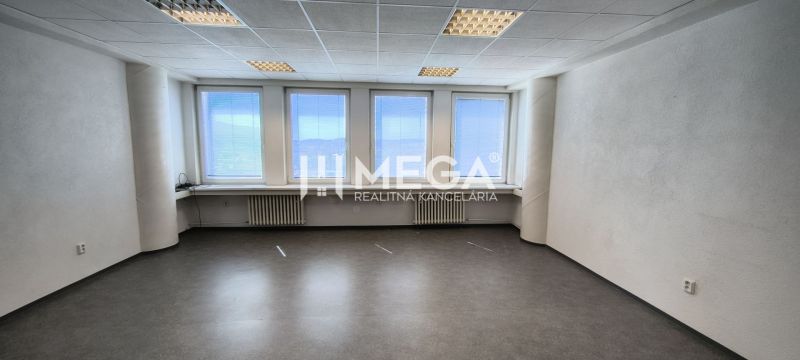 Büros mit Holzboden und großen Fenstern für natürliches Licht.