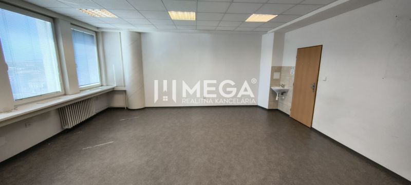 Ein geräumiges Büro mit Holzboden, Waschbecken und großen Fenstern.