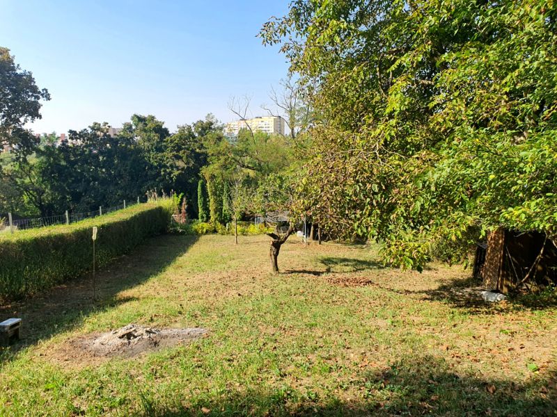 Garten mit Rasen und Bäumen in Košice in der Ul. 1 mája, Krásna.