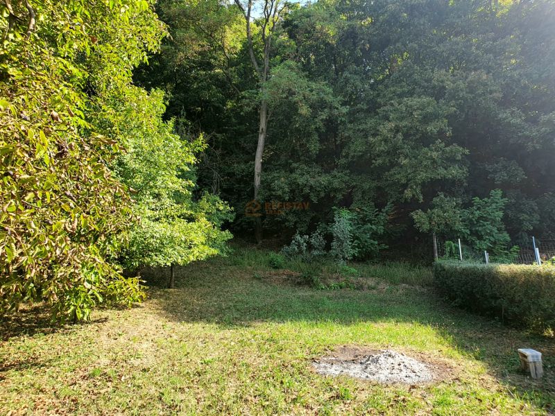 Der Garten in der Ul. 1 mája in Košice - Stadtteil Krásna bietet Grünflächen und Bäume.