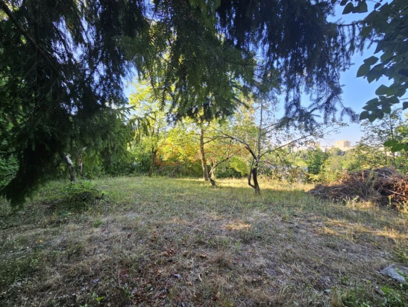 Der Garten in der Šípková-Straße in Košice, im Stadtteil Krásna, mit dichtem Grün und Bäumen.
