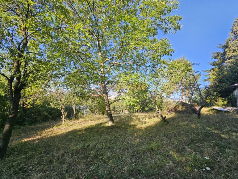 Gärten in der Šípková-Straße in Košice, Stadtteil Krásna, voller grüner Bäume.