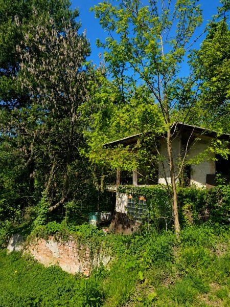 Ein Häuschen umgeben von Bäumen und Grün in den Gärten in der Šípková-Straße, Košice - Stadtteil Krásna.