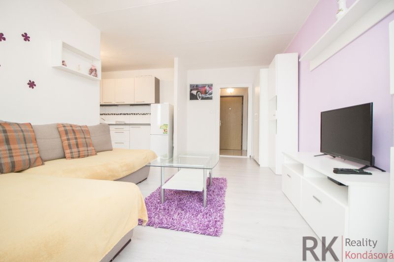 Wohnzimmer in einer 2-Zimmer-Wohnung mit Sofa, Fernseher und Küchenzeile.