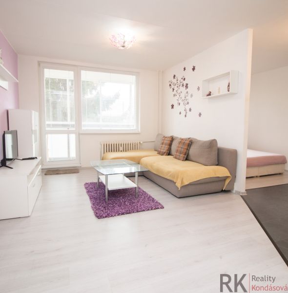 Wohnzimmer in einer Zweizimmerwohnung mit Sofa, Fernseher und Holzboden.