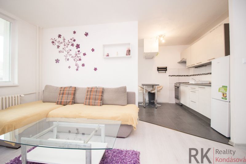 Wohnzimmer und Küche in einer 2-Zimmer-Wohnung mit Sofa und Esstisch.