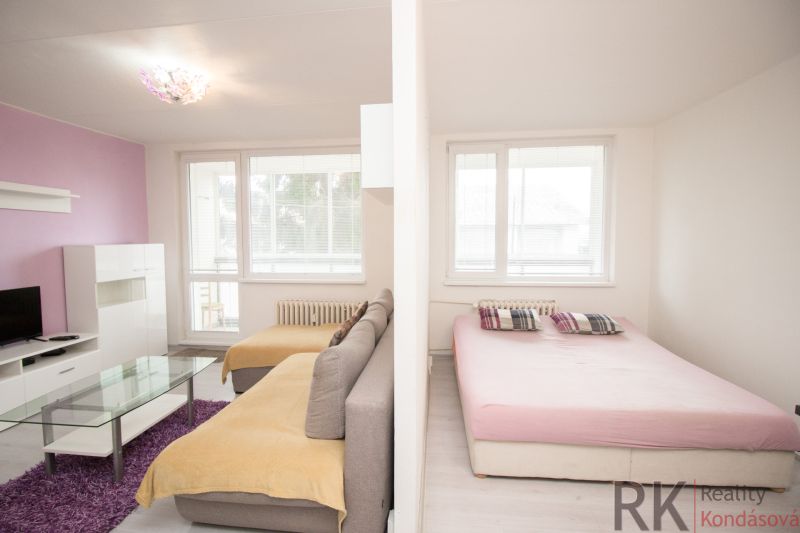 Wohnzimmer mit Sofa und Fernseher, daneben befindet sich ein Bett in einer 2-Zimmer-Wohnung.