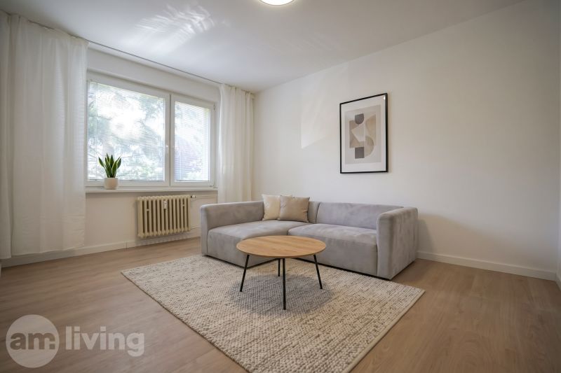 Wohnzimmer in einer Einzimmerwohnung mit Sofa, Teppich und Holzboden.
