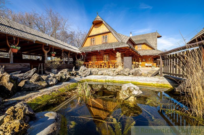Ein Holzfamilienhaus in Machulince mit einem kleinen Gartenteich auf einem sonnigen Grundstück.