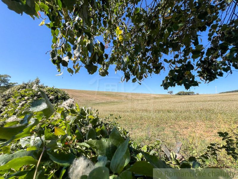 Felder und Bäume umgeben von Grün in den Gärten bei Pastuchov unter blauem Himmel.