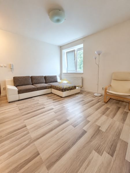Einzimmerwohnung mit Sofa, Sessel und Holzboden, helle Wände.