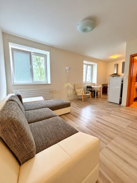 Einzimmerwohnung mit Holzboden, Sofa und Küchenzeile.
