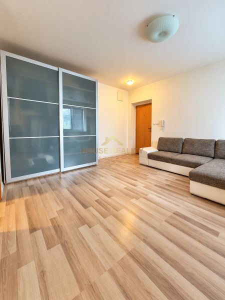 Einzimmerwohnung mit Holzboden, Einbauschrank und bequemer Couch.