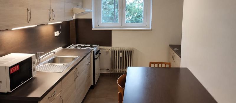Küche in einer Einzimmerwohnung mit Gasherd und Mikrowelle auf dunkler Küchenzeile.