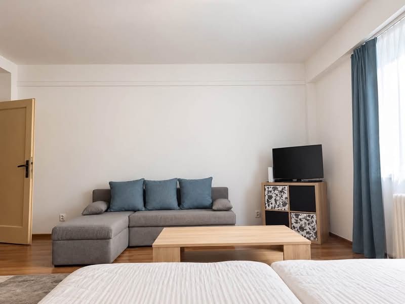 Ein stilvoller Wohnbereich in einer Einzimmerwohnung mit einem Sofa und einem Fernseher, Boden mit Holzdekor.