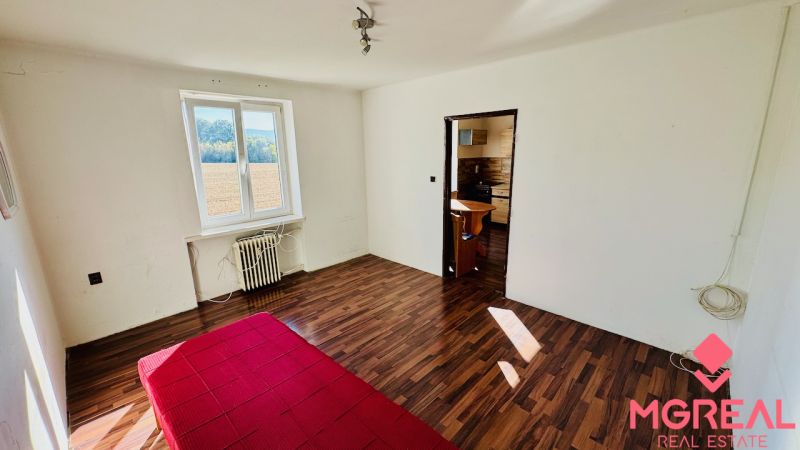 Ein Zimmer mit einem Holzboden und Blick in die Küche in einer Einzimmerwohnung.