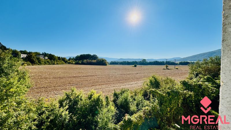 Ein weites Feld in Malé Kršteňany unter blauem Himmel, umgeben von Grün und Sonne.