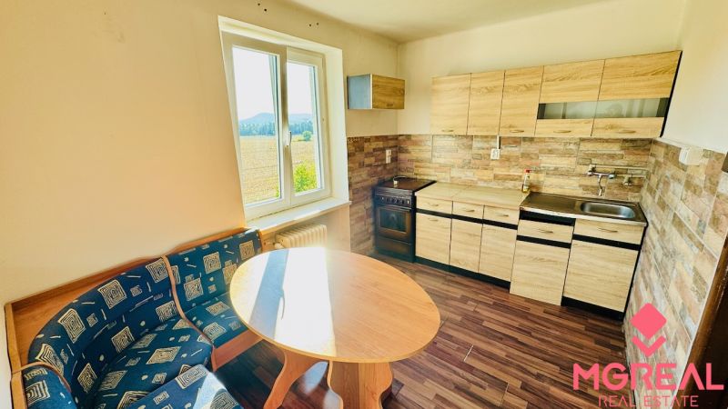 Küche in einer Einzimmerwohnung mit Küchenzeile, Holzboden und Aussicht.