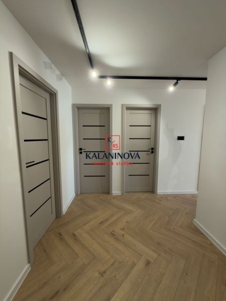 Innenraum einer 4-Zimmer-Wohnung mit Holzboden und modernen Türen.