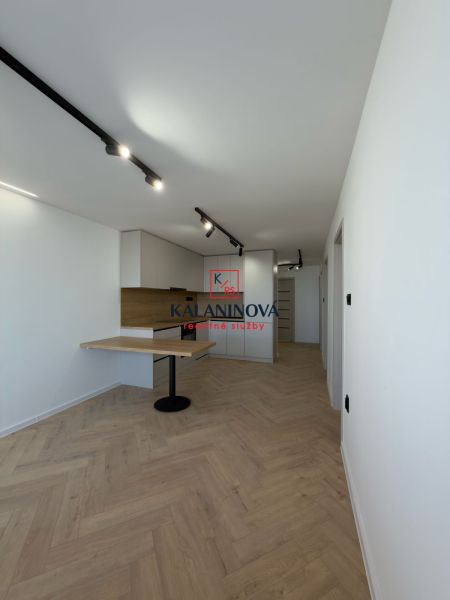 Ein Zimmer mit Holzboden, Kochnische und Beleuchtung, 4-Zimmer-Wohnung.