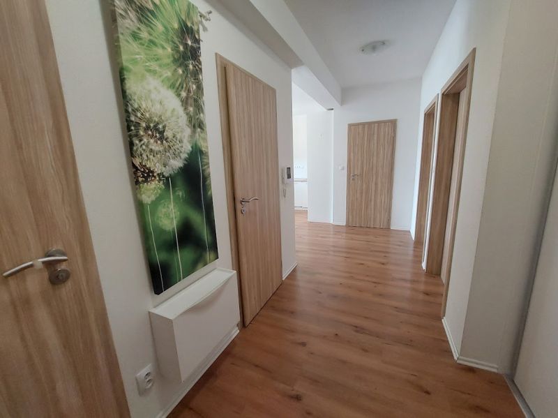 Der Flur in einer 3-Zimmer-Wohnung mit einem Boden in Holzoptik und einem Bild von einer Pusteblume.