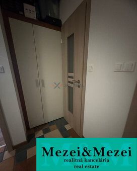 Der Flur in der 2-Zimmer-Wohnung mit einem Boden in Holzoptik und einem Einbauschrank.
