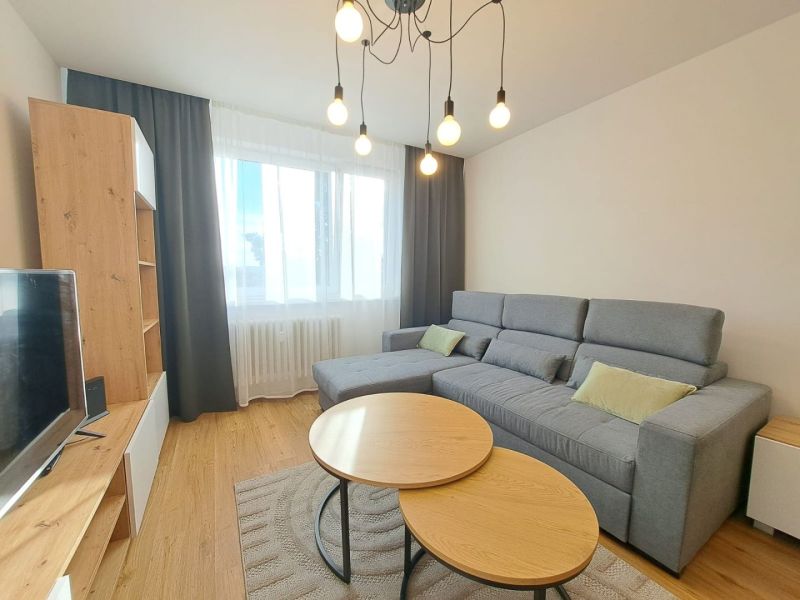 Helles Wohnzimmer in einer Zweizimmerwohnung mit einem bequemen Sofa und einem Boden in Holzoptik.