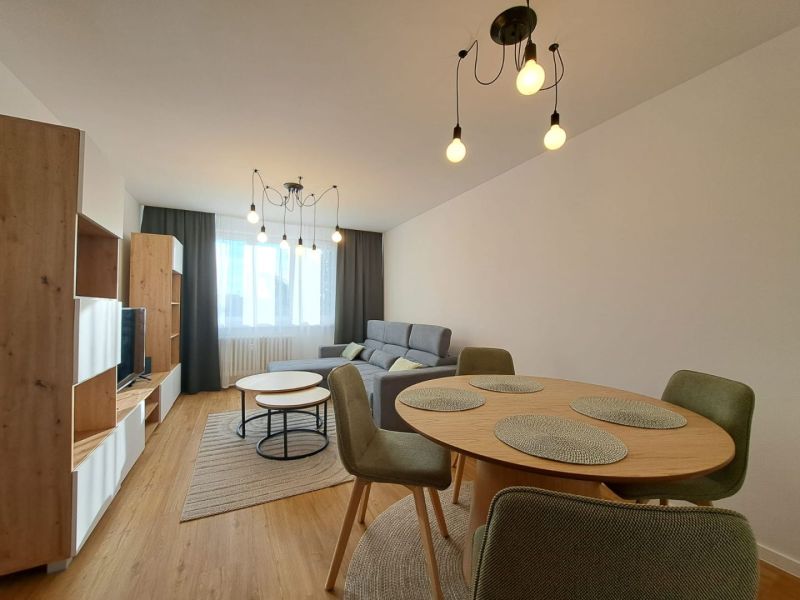 Wohnzimmer in einer 2-Zimmer-Wohnung mit einem bequemen Sofa und einem Boden in Holzoptik.