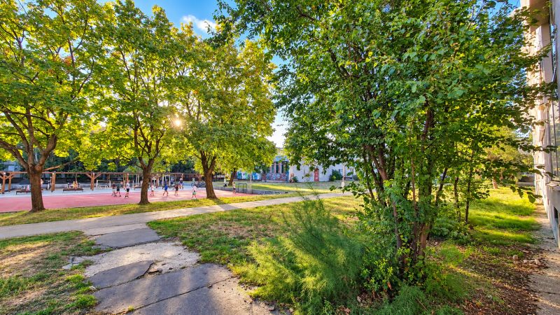 Park mit Grünflächen und Gehweg neben dem Sportplatz in der Straße Za hradbami in Pezinok.
