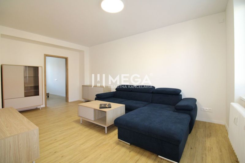 Wohnzimmer in einer 2-Zimmer-Wohnung mit Sofa, Möbeln und Boden in Holzoptik.