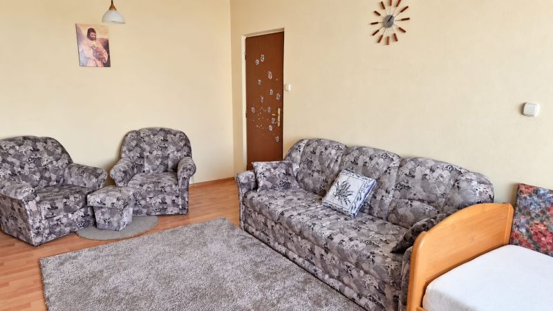 Gemütliches Wohnzimmer mit gemustertem Sofa in einer 3-Zimmer-Wohnung.