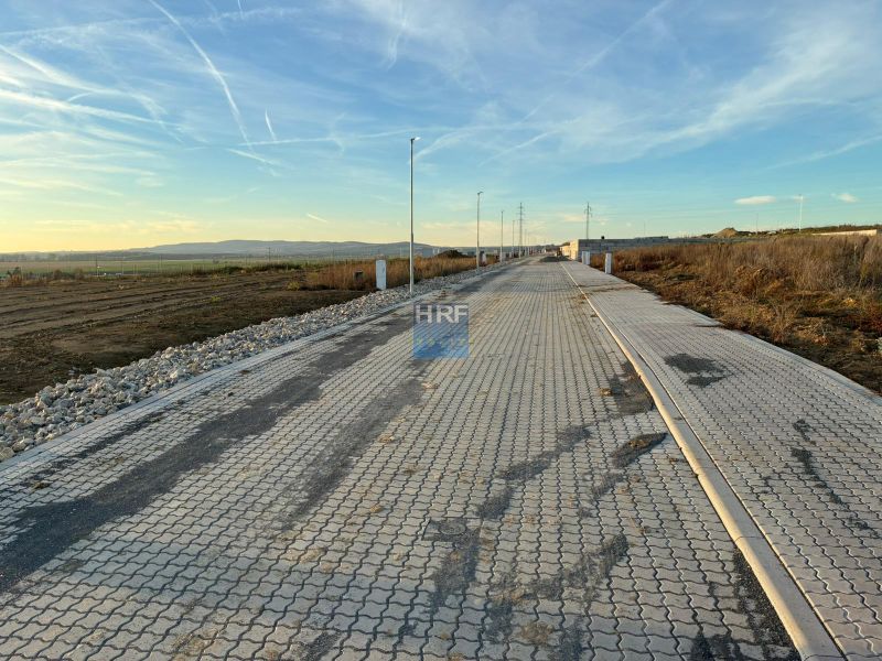 Straße in Vinohrady in Senica mit befestigter Oberfläche, umliegende Landschaft und Beleuchtungsmasten.