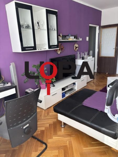 Wohnzimmer in einer Zweizimmerwohnung mit Sofa und Möbeln, Boden mit Holzdekor.