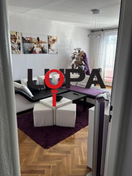 Gemütliches Wohnzimmer mit Holzboden in einer begehrten 2-Zimmer-Wohnung.