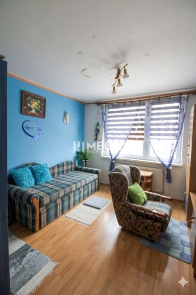 Ein buntes Wohnzimmer mit einem Sofa und einem Sessel, eine 3-Zimmer-Wohnung, Boden mit Holzdekor.