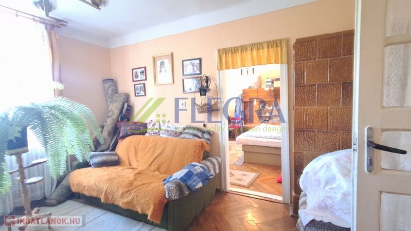 Ein Zimmer in einem Einfamilienhaus mit einem Sofa, Dekorationen und Holzboden.