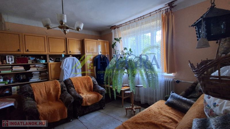 Wohnzimmer mit Sofas, Vorhängen und einer Pflanze in einem Einfamilienhaus.
