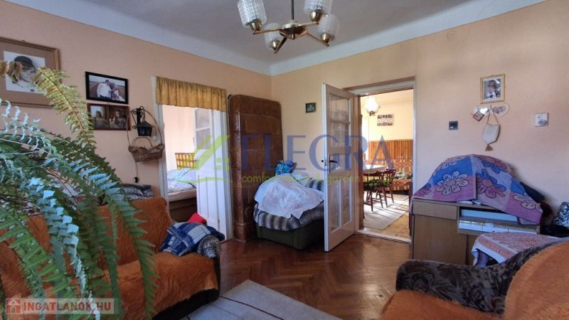 Wohnzimmer mit Holzboden, Möbeln und einer Pflanze in einem Einfamilienhaus.