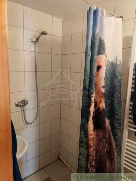 Eine Duschkabine in einer Hütte mit einem originellen Vorhang, der einen Bären darstellt.