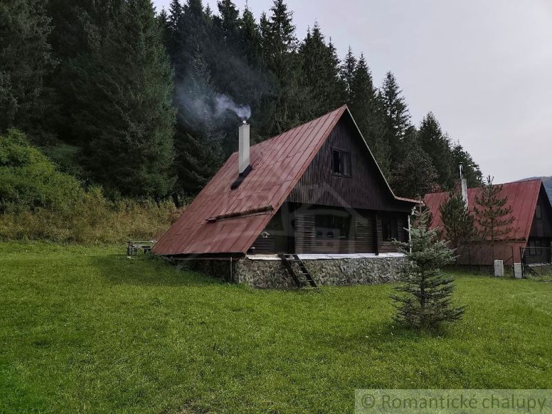 Eine Hütte in Rajecká Lesná mit einem Blechdach und einem Garten mitten im Wald.