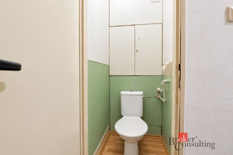 Toilette in einer 2-Zimmer-Wohnung mit Holzboden und grünen Wänden.