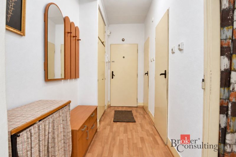 Flur in einer 2-Zimmer-Wohnung mit Holzboden, Spiegel und Garderobenwand.