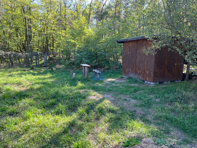 Gärten in Kopčany mit einem natürlichen Unterstand, umgeben von Bäumen und Grün.